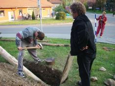 Stavění máje 30.4.2008